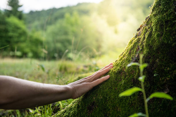 Best Emergency Tree Removal  in Geneva, WA